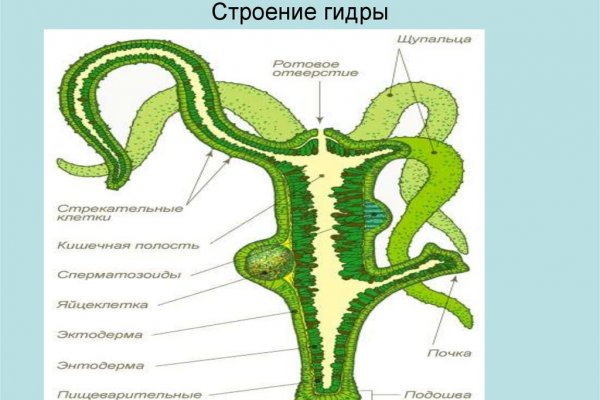 Кракен ссылка на сайт