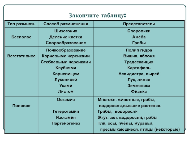 Ссылки на сайты в даркнете